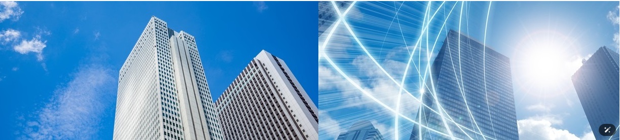 日本経営監査学会